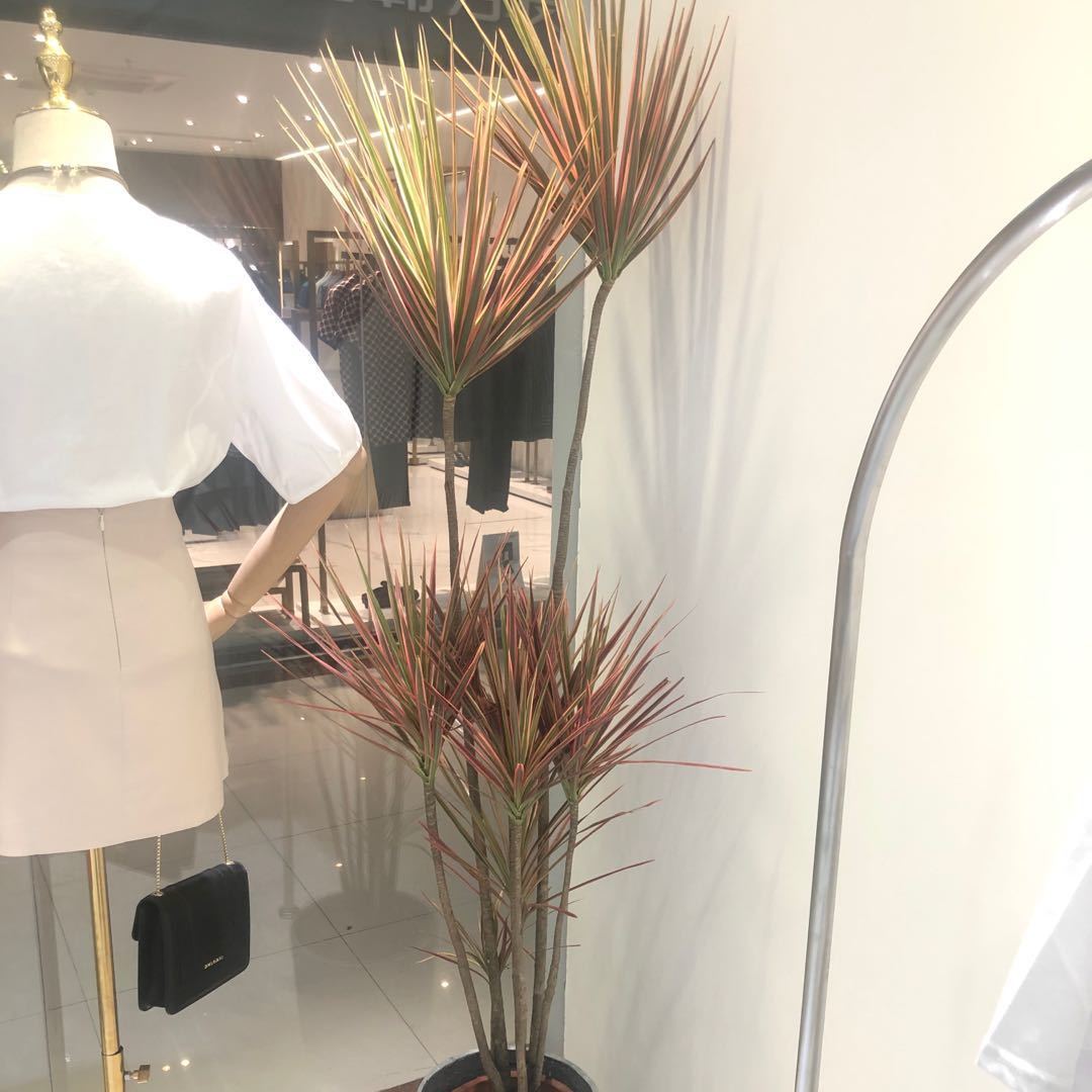 敦煌章草三宝（玄赞略抄后疏）：穿越千年的艺术瑰宝，如何成为现代家居的点睛之笔？