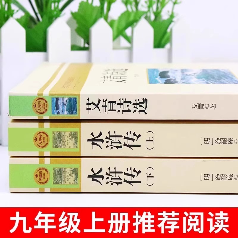【当当网 正版书籍】夏天只是西瓜做的一个梦，开启夏日阅读新风尚