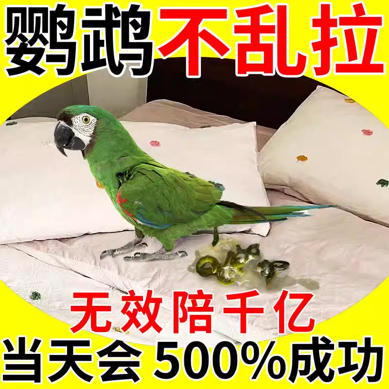 鹦鹉乱拉乱尿？这个神器让我家毛孩子学会上厕所！