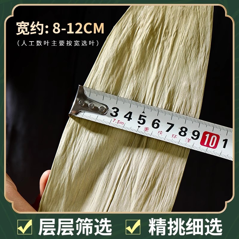粽叶的秘密：如何挑选与使用，让你的粽子更加美味！