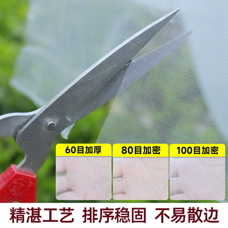 抗老化防虫网纱网80目果树防鸟网罩农用大棚蔬菜防虫网种菜专用网，守护你的绿色家园️