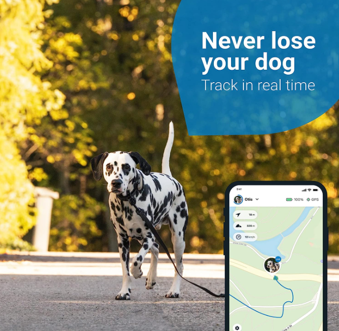 Tractive LTE GPS狗追踪器：宠物安全新革命，养狗人必看！