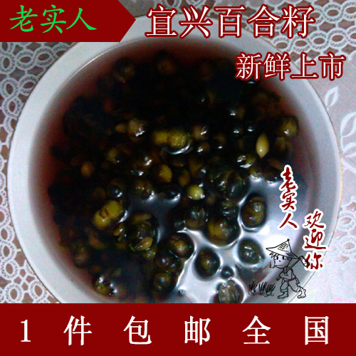 2025新鲜百合籽来袭！宜兴特产，尝鲜不等待！
