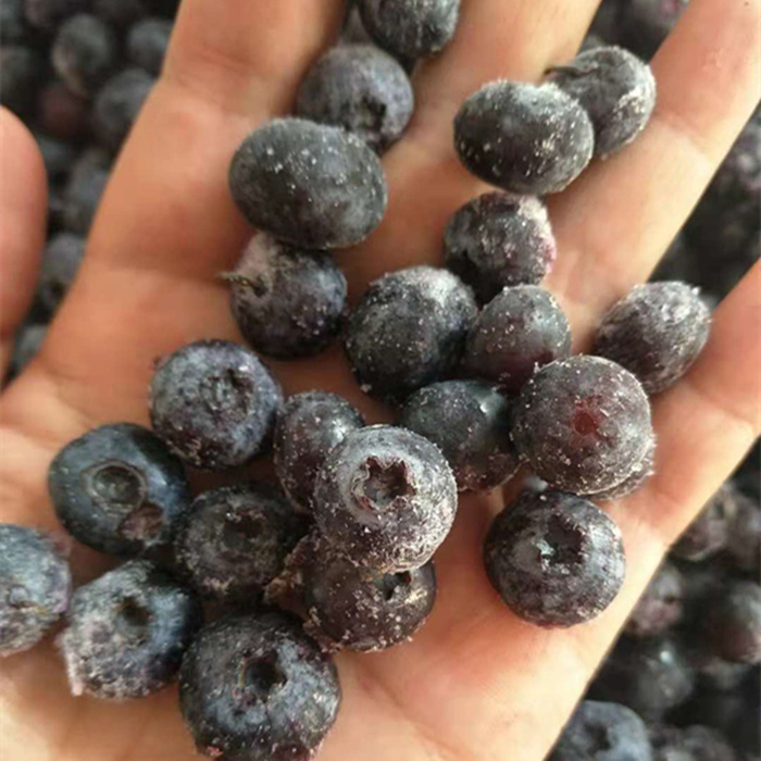 丹东蓝莓：当季鲜果盛宴，顺丰包邮尝鲜不等待！