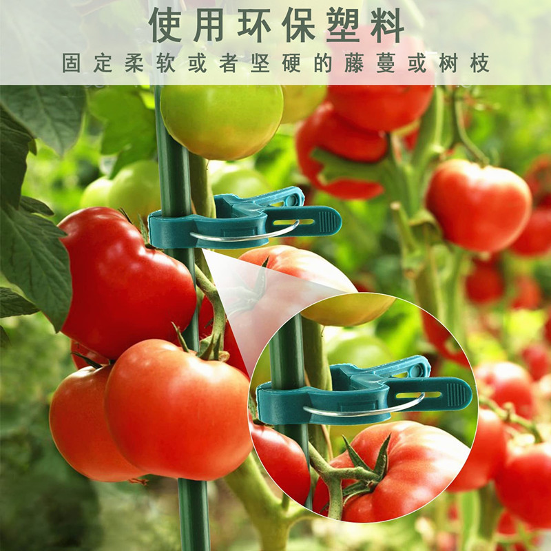冬瓜夹子藤蔓夹大集合，轻松搞定蔬菜园难题！