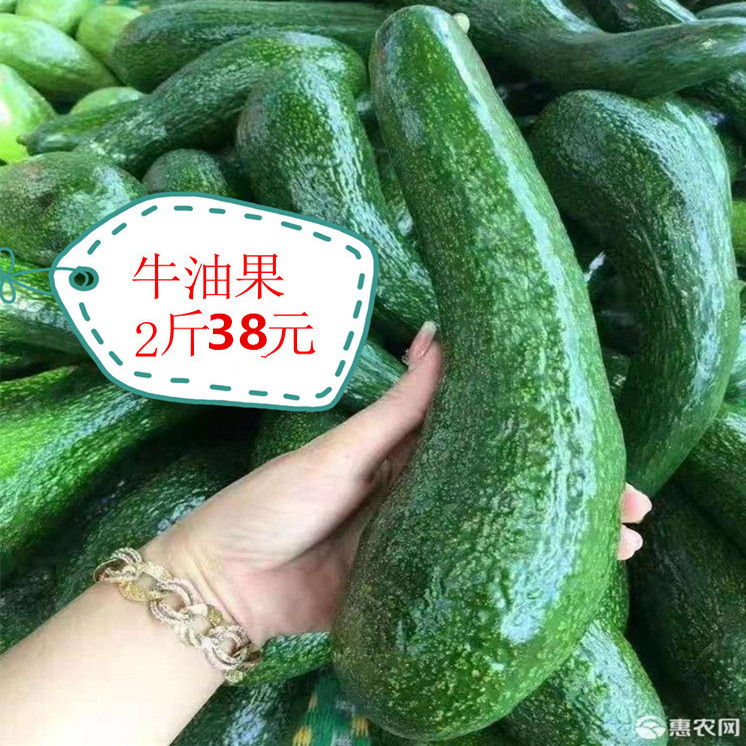 广西牛油果：当季新鲜采摘，软糯香甜的秘密武器