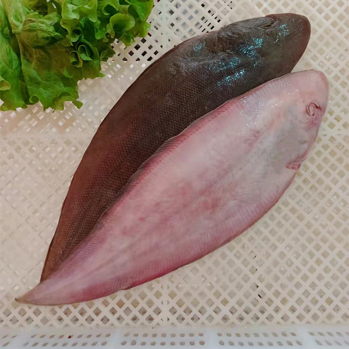 超大龙利鱼：鲜美直达舌尖，宝宝辅食新选择！