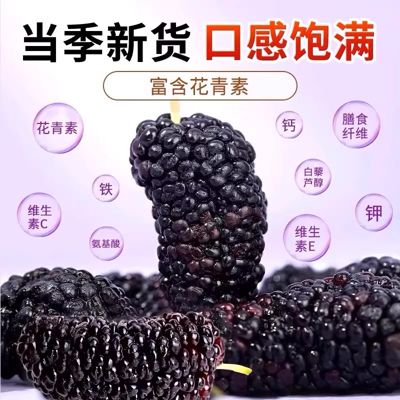 北京同仁堂覆盆子&amp;桑椹泡茶，养生新风尚✨