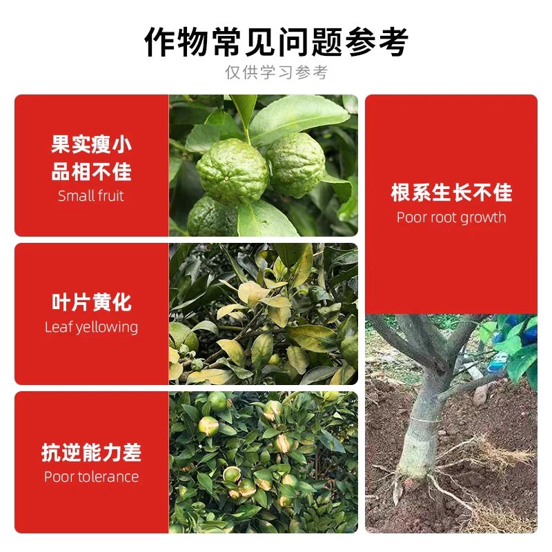 槟榔保花保果药：解锁槟榔增产增收秘籍，告别畸形裂果烦恼！
