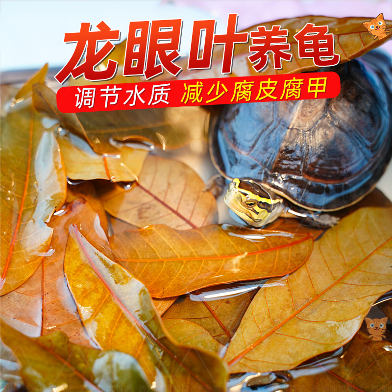 德国MN无比色卡PH试纸90712：精准测量水质的秘密武器