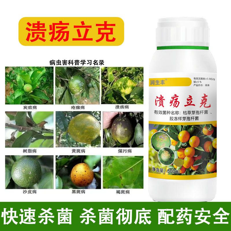 柑橘溃疡病专用药：守护你的果园，远离病害侵袭