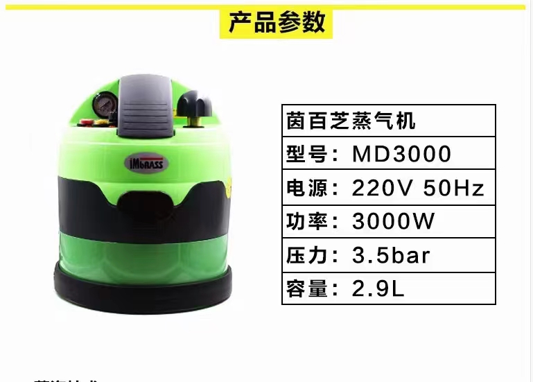 茵百芝蒸汽机桑拿机：汽车内饰清洁新革命，MD3000高温消毒熏蒸机蒸汽洗车的秘密武器！