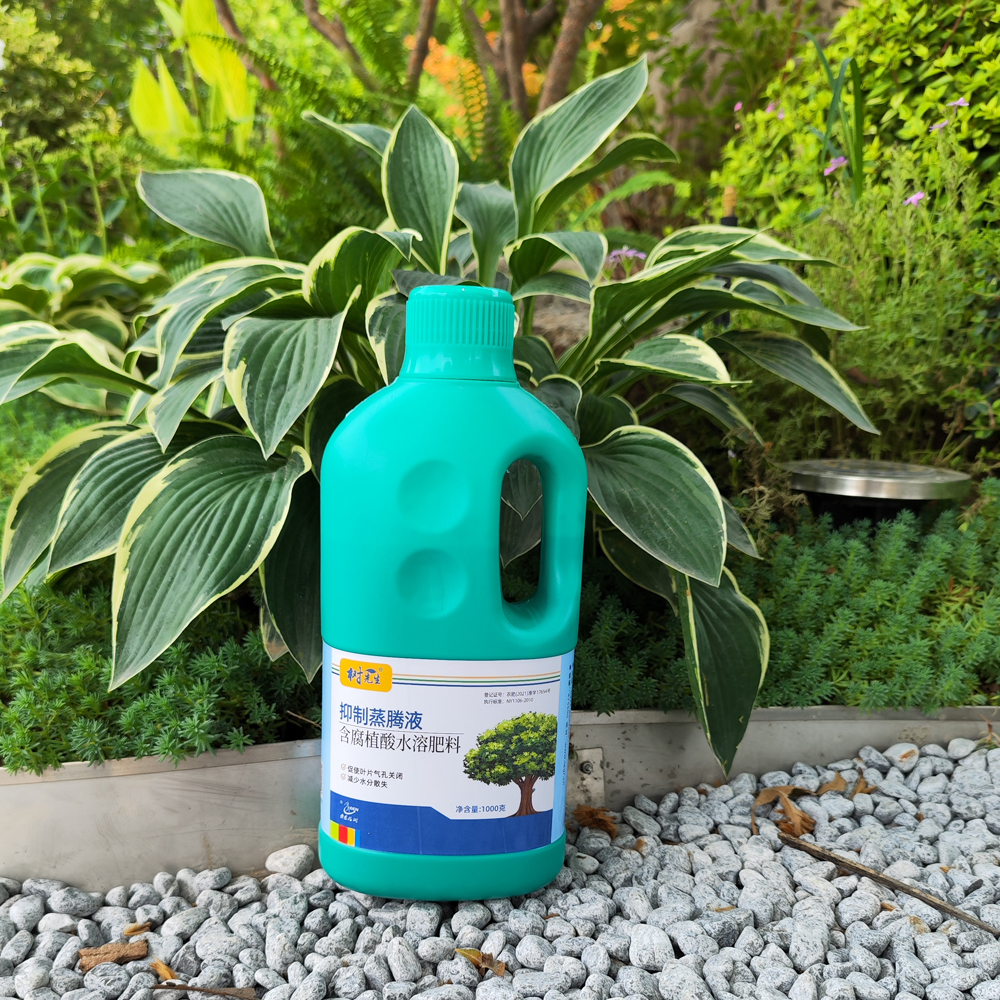 大树移栽抗蒸腾剂：保护你的绿植免受失水困扰，轻松移植新家