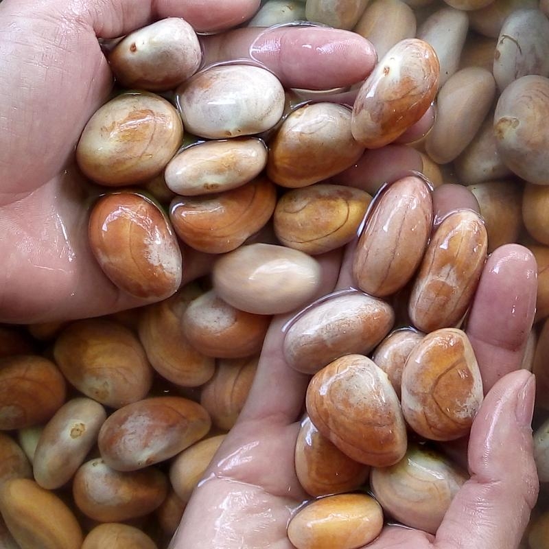菠萝蜜的核能吃吗？营养和吃法全攻略