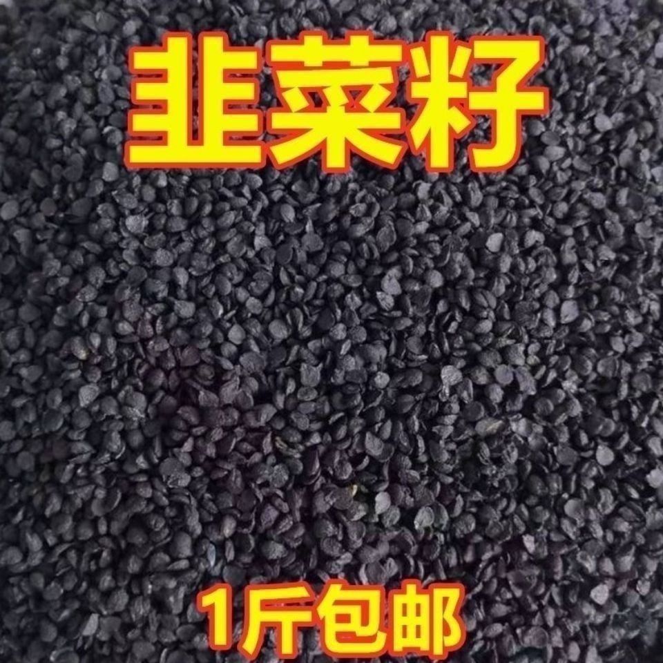 阿里巴巴进货去闲鱼卖？别再被割韭菜了！