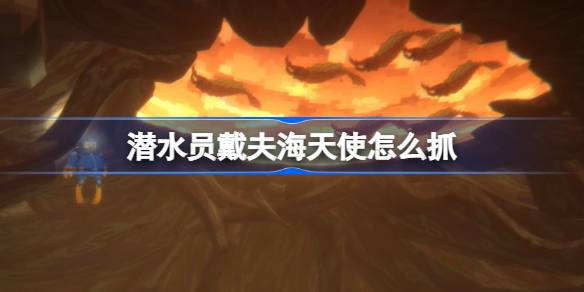 潜水员戴夫海天使怎么抓 潜水员戴夫海天使抓捕攻略