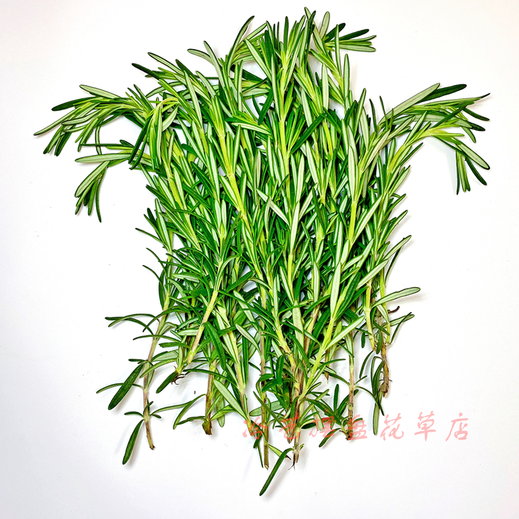 新鲜迷迭香&amp;可食用马鞭草：酒店级西餐牛排的调味秘籍，让你在家也能大厨级摆盘点缀！