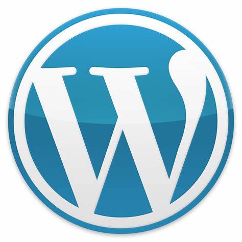WordPress插件：优化搜索引擎首图抓取