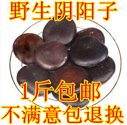 西藏阴阳子非野生特级正品500g双肾子过江龙泡酒料配风流果中药材：神秘东方草药的养生奥秘