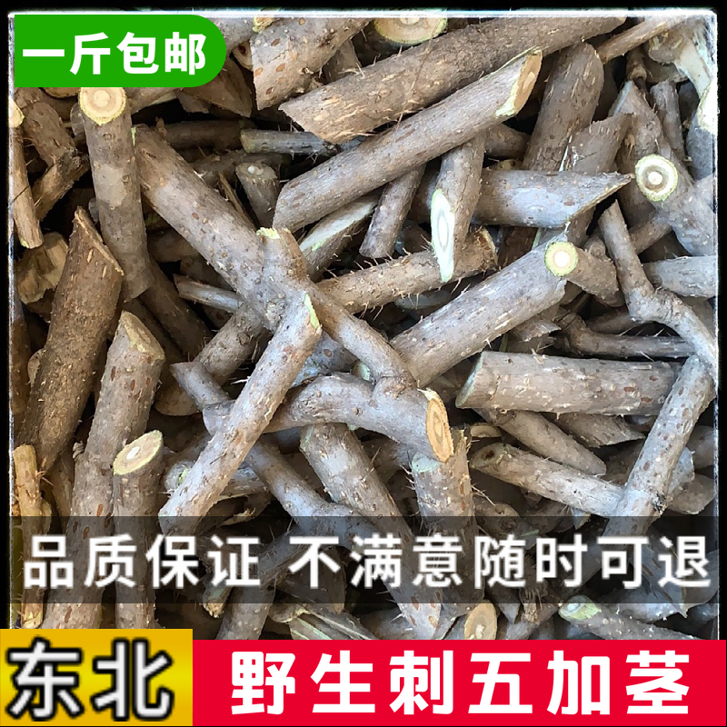 【药用精选】刺五加50克：来自东北长白山的神奇能量棒