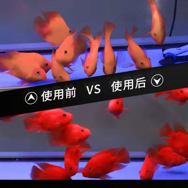 亿得胜红鱼灯：点亮你的水下奇幻世界，专为红龙罗汉和鹦鹉鱼定制！