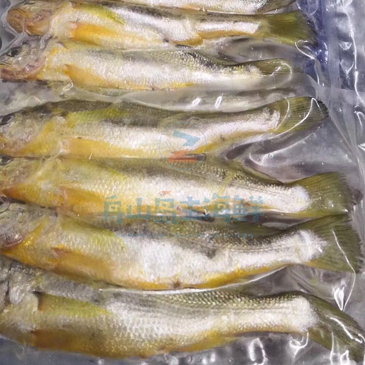 舟山小黄鱼真香预警！新鲜冷冻深海海鲜，烧烤党狂喜这波不冲真的亏大了
