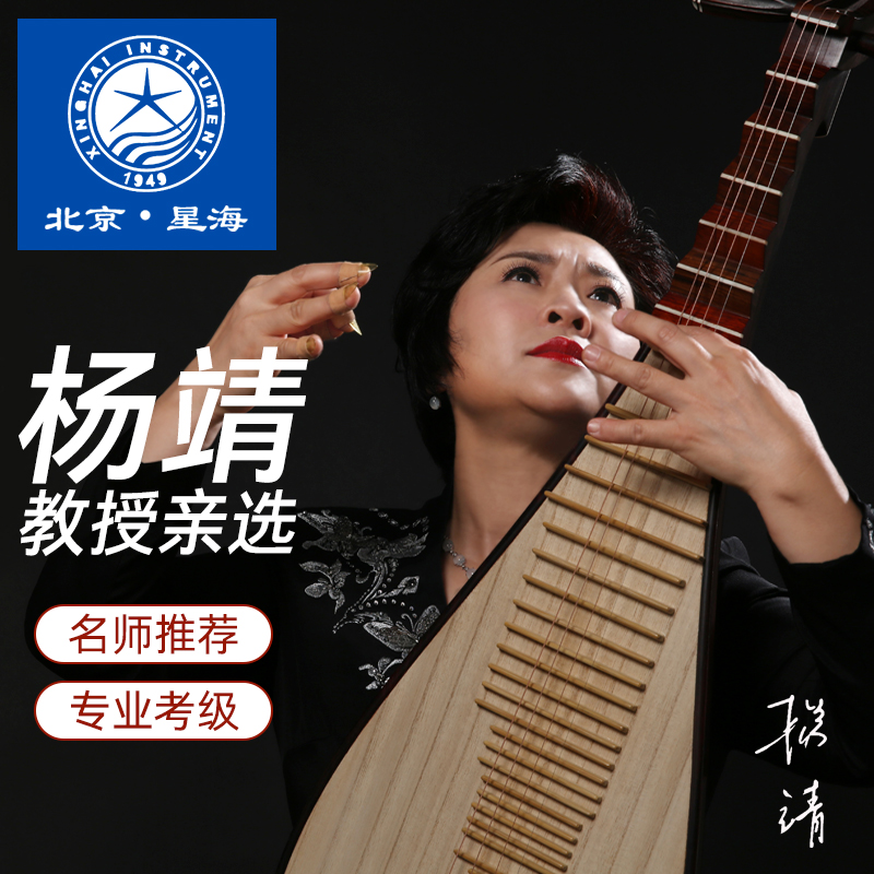 名师监制视频选琴：星海琵琶，酸枝木奥氏黄檀木的专业演奏神器！