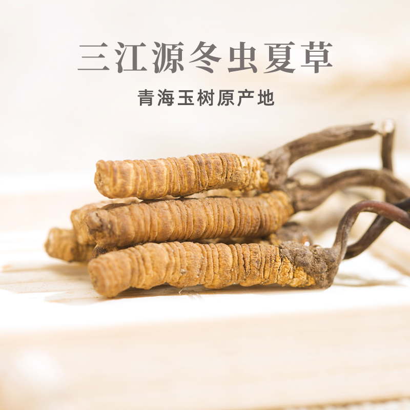 三江源新鲜冬虫夏草：2025年玉树高海拔野生鲜草，顺丰保鲜发货，你值得拥有！