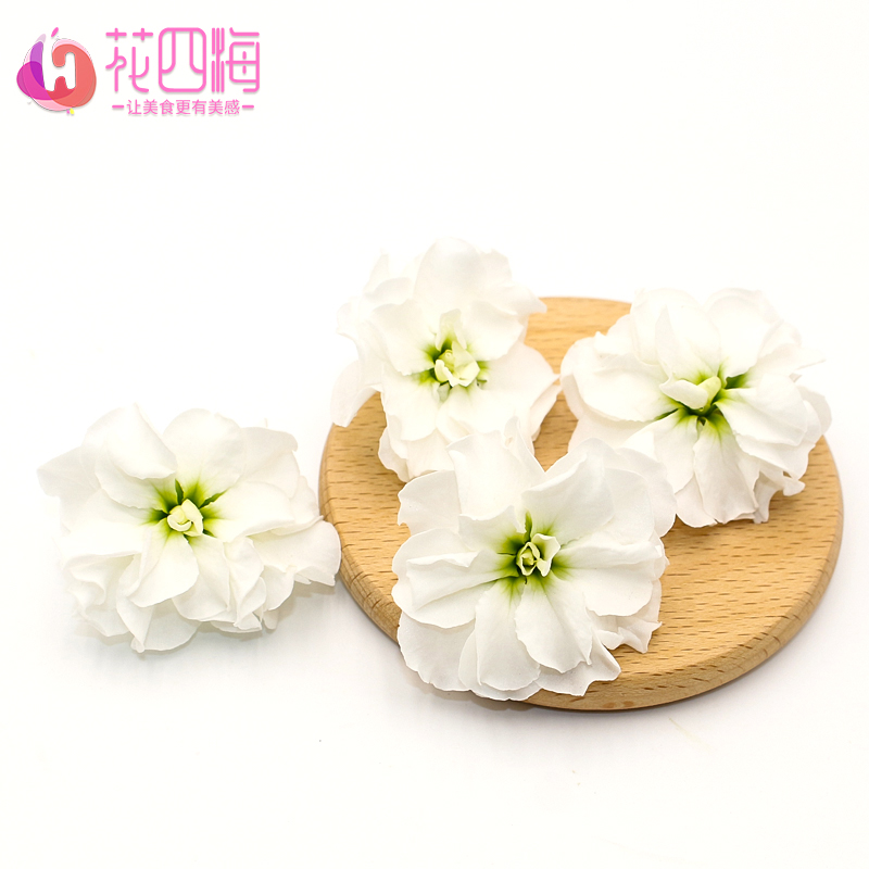 白色摆盘装饰花草：罗兰花如何点亮你的西餐摆盘与蛋糕烘焙？