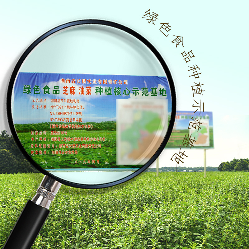 长康纯正黑芝麻油香油：解锁餐桌新风味，正宗无添加剂的调味秘籍！