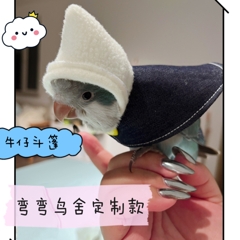 独家高定款30天内发货！鹦鹉牛仔披风斗篷连帽外出服，让你成为街头最靓的仔！✨