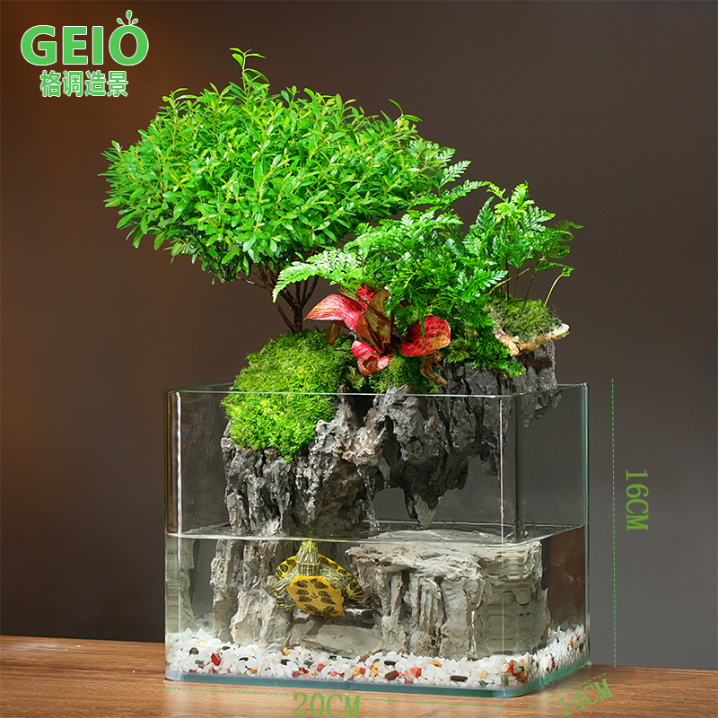 成品微景观生态鱼缸：打造你的桌面绿色小宇宙，苔藓真绿植物造景，客厅里的自然奇迹