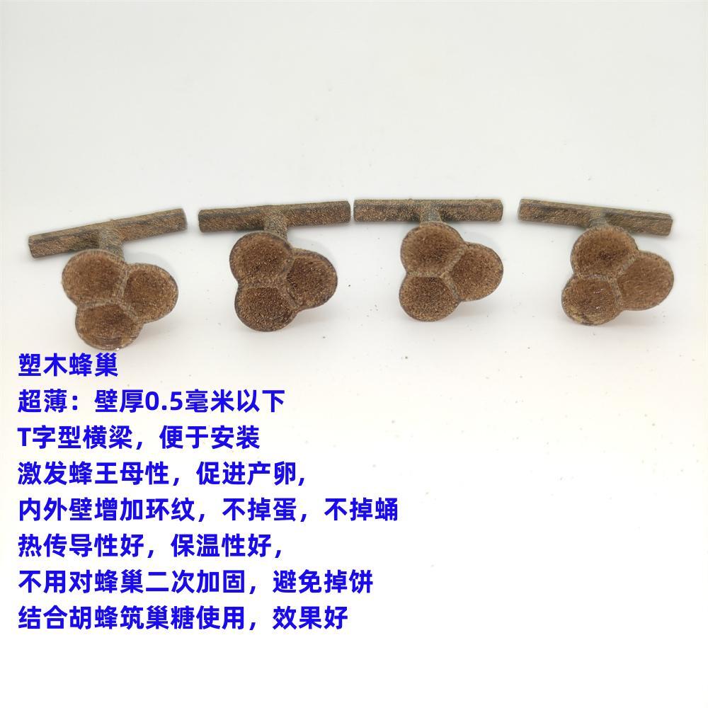 胡蜂3D人工模压蜂巢：揭秘红娘金环大黑尾虎头蜂的筑巢奥秘！