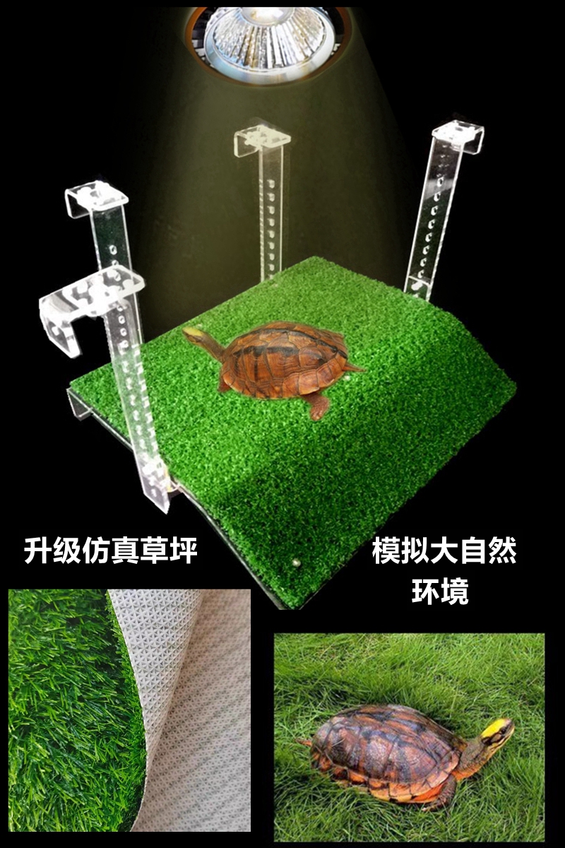 巴西龟高水位浮岛晒龟台：乌龟晒台爬台深水浮台的终极解决方案！