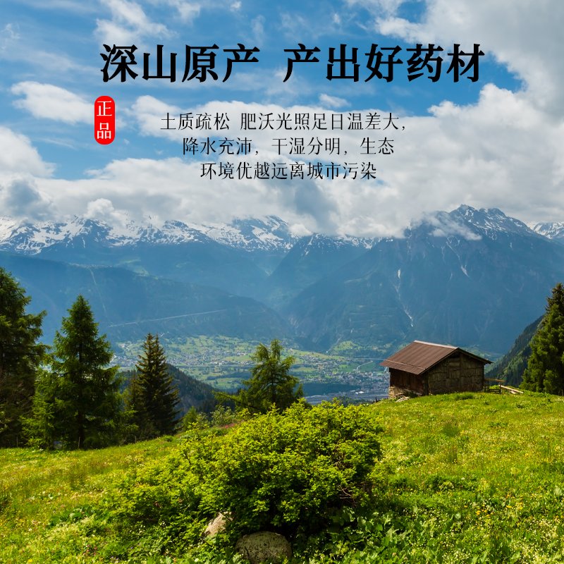 野生北沙参，滋补养生新选择！