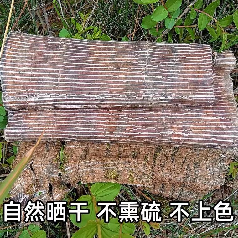 500g送100g太行山黎城县老树山茱萸杜仲皮，养生神器，泡水泡酒煲汤全搞定！