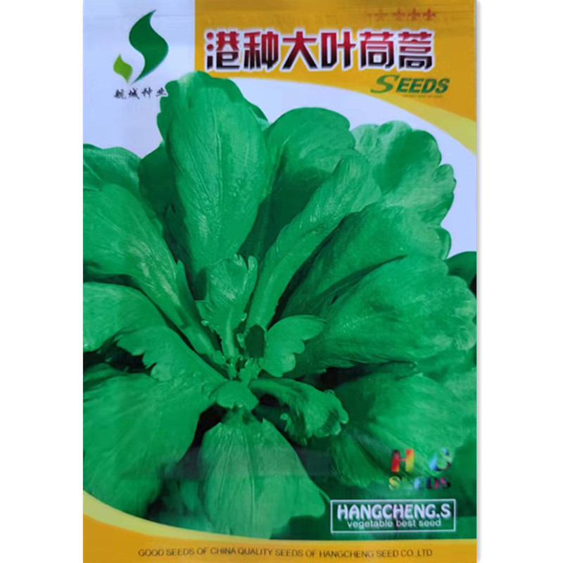 包邮蔬菜种子：大叶茼蒿，秋冬季节的家庭种植秘籍，种出皇帝菜的秘诀！