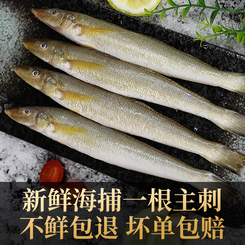沙丁鱼新鲜青岛海捕深海鱼冷冻速冻3斤冰鲜海鲜水产烧烤食材，尝鲜必备！