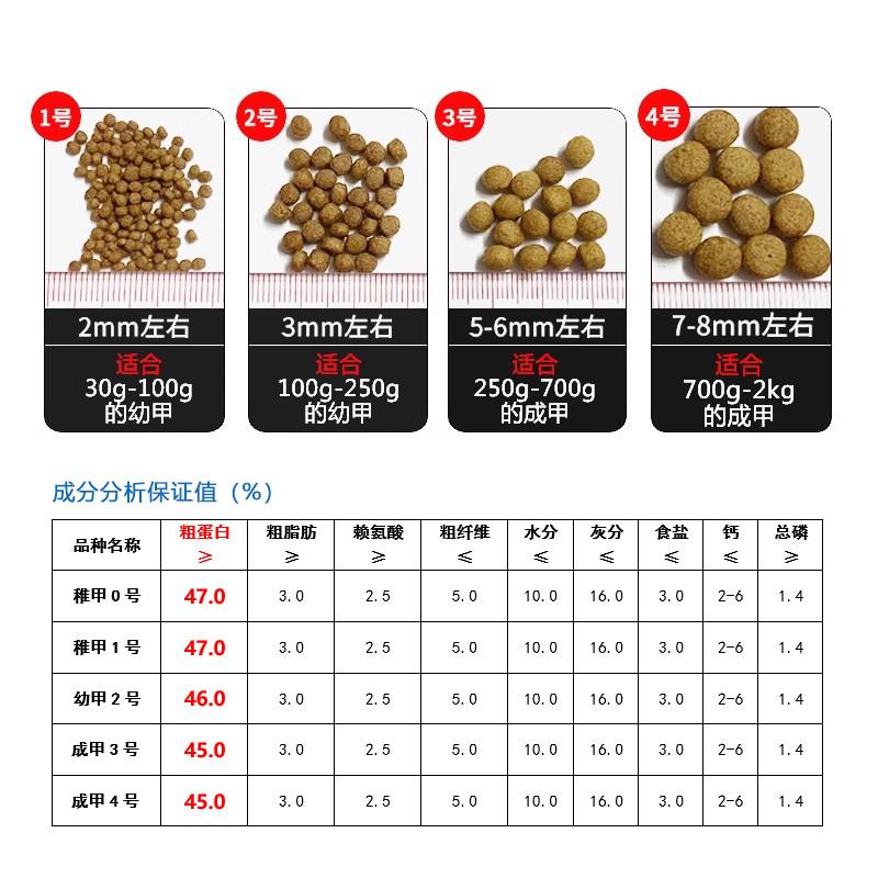 海皇公司海泰鳖膨化配合饲料：解锁甲鱼养殖新境界，中华鳖与日本鳖的盛宴！