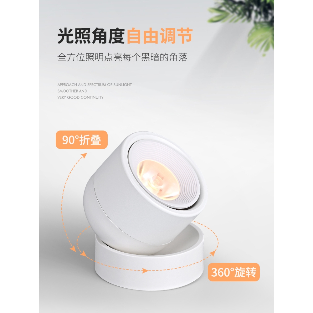 LED明装筒灯太香了！北欧风吸顶灯免开孔，过道背景墙秒变高级感✨