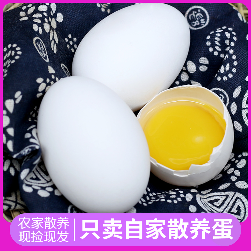 孕妇吃鹅蛋对胎儿黄疸有作用吗？科学解读，绝绝子的真相！