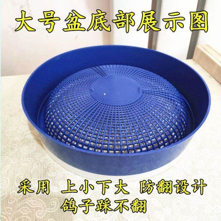 新款家用塑料鸡窝：母鸡们的豪华产蛋别墅✨