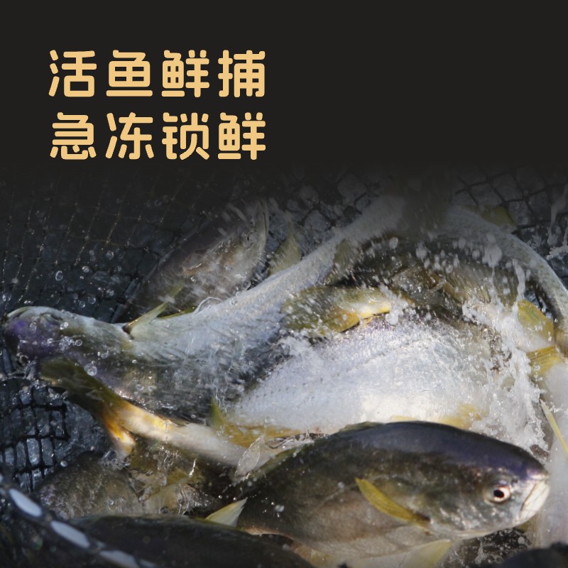 一米八大黄鱼去刺鱼排(2.5年份)97g：顶级美味，轻松享受海鲜盛宴！