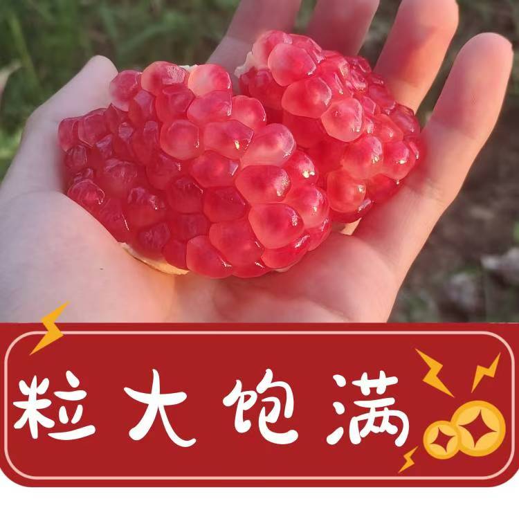 建水酸石榴特酸纯酸，孕妇水果新宠，五斤十斤包邮尝鲜！