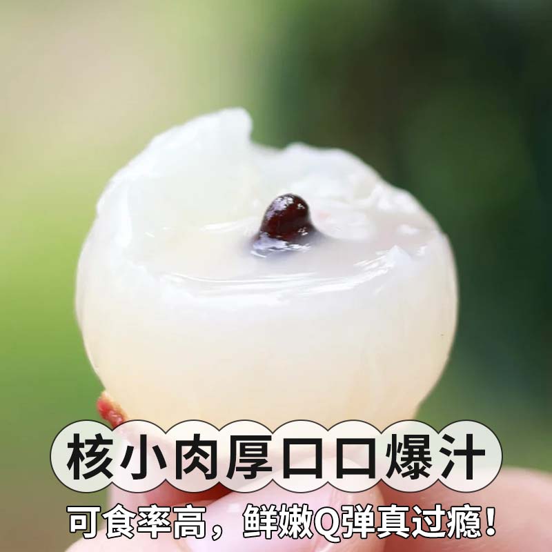 顺丰礼盒大果8斤海南妃子笑荔枝：甜蜜来袭，尝鲜必备！