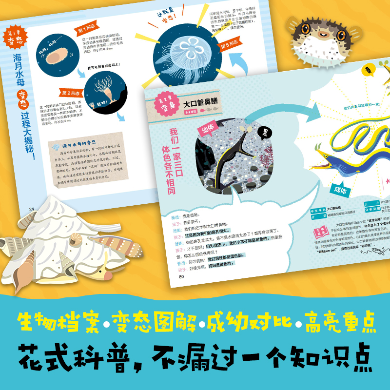 阿里速卖通的负责人是谁？如何确保跨境电商平台的高效运营？