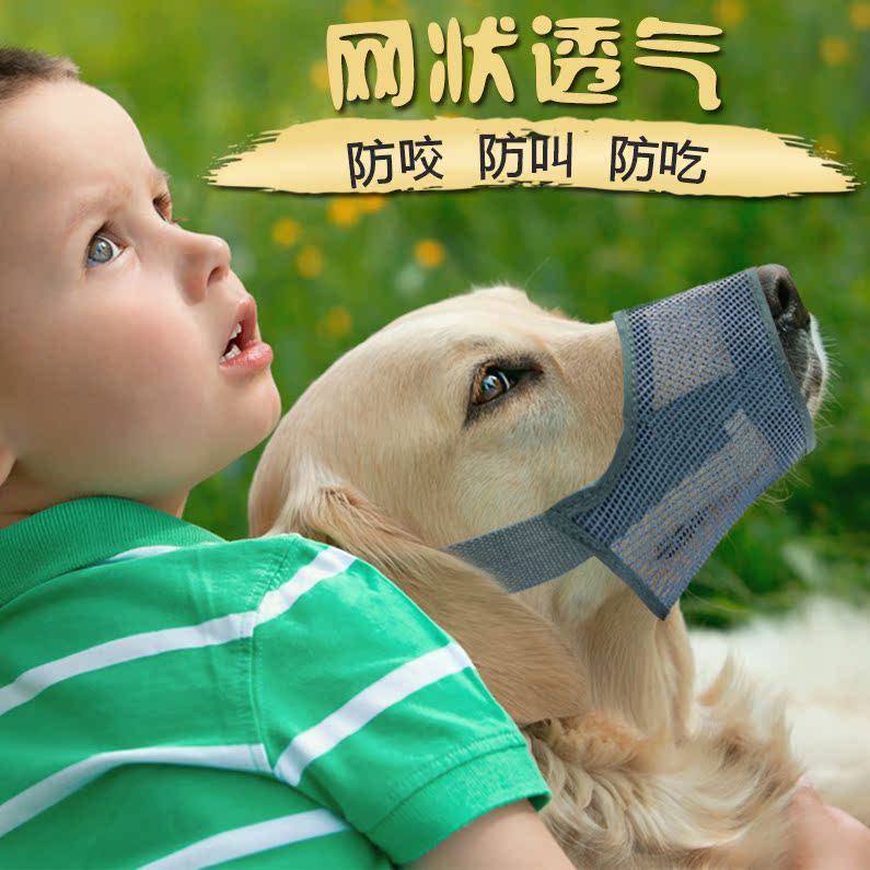 狗狗嘴套防咬口罩：中大型犬金毛泰迪博美的救星，防乱吃防叫神器大揭秘！