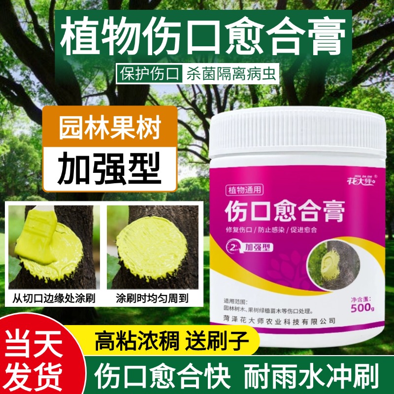 植物伤口愈合剂：树木果树嫁接盆景树枝剪修苗木花卉切口的救星，兰花愈合膏全解析！