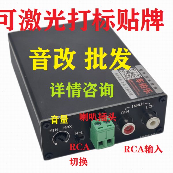 DSP升级中置喇叭汽车功放HIFI发烧人声车载三分音频中音无损音响，这波改装太香了！