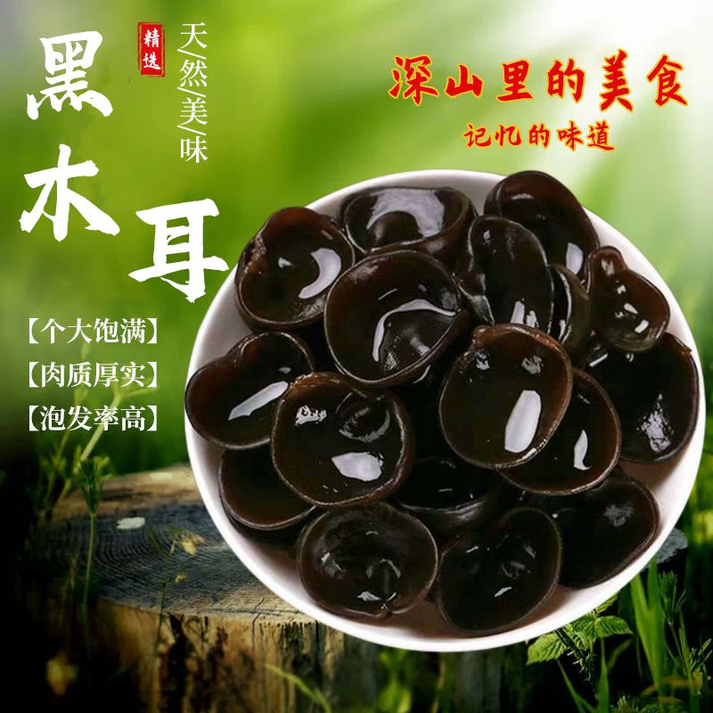 西藏林芝小木耳：自然馈赠，非东北木耳的黑金传奇！